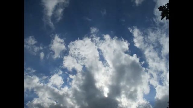 Стихотворение Елены Текс "Уложил на прокрустово ложе" смотреть онлайн