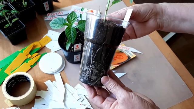 Делаем маркеры для рассады смотреть онлайн