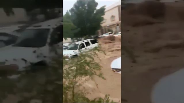 неужели ещё остались люди которые считают, что с климатом всё ОК, просто ливневая система работает? смотреть онлайн