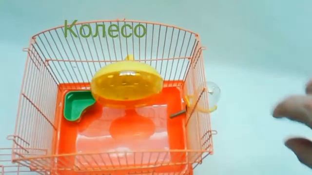 Зоотовары. Клетка для джунгарика YD-258. Зоотовары от Лены гарантия лучшей цены смотреть онлайн