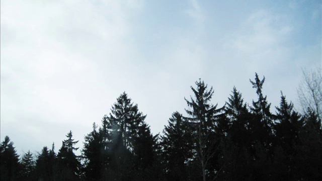 Мне нужен ответ смотреть онлайн