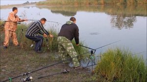Рыбалка на реке Сал, поймали амура