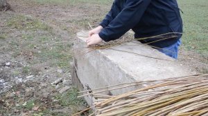Плетем гнезда для ушастых сов