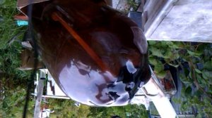 ЦКТ из ПЭТ подробная инструкция. Делаем удобную емкость для сбраживания с фитингом для слива осадка