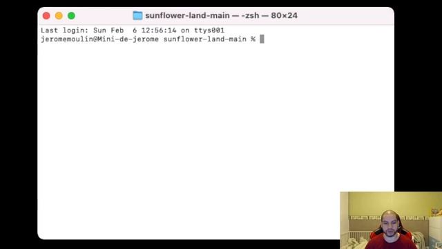 Comment jouer à l'alpha de Sunflower Land !! Tutorial смотреть онлайн