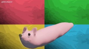 ? Хит TIkTok | Мышка-Сосиска ?? МЫШКА-СОСИСКА  в разных скоростях и ситуациях