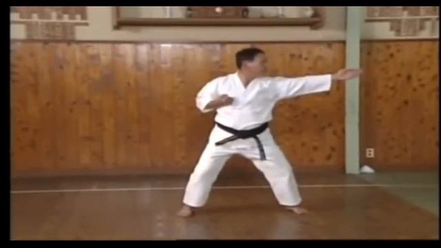 Motobu - Naihanchi Application 1 смотреть онлайн