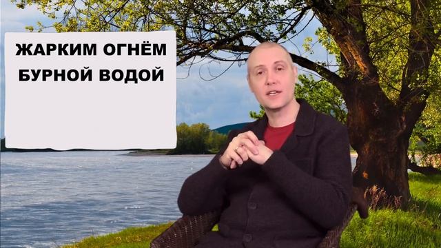 КАКИЕ БЫВАЮТ ДРАКОНЫ И КАКАЯ СВЯЗЬ С САРАНЧОЙ И ПЧЁЛАМИ смотреть онлайн