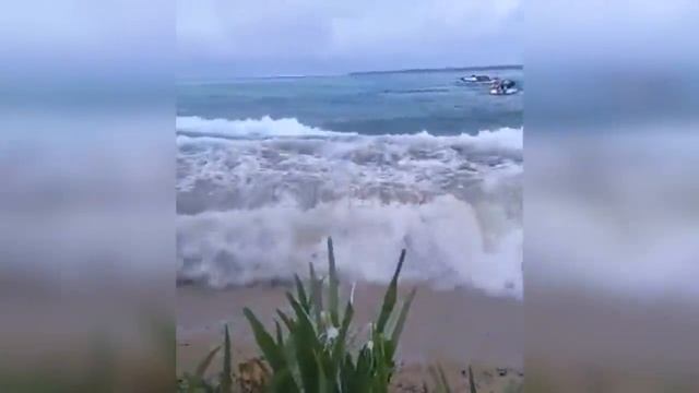 Tsunami waves hit houses in Tonga after the eruption!! смотреть онлайн