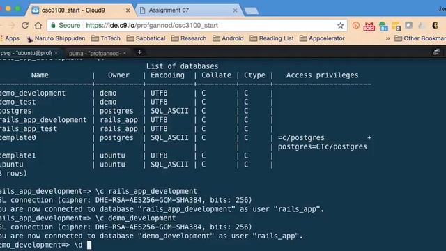 rails db console смотреть онлайн
