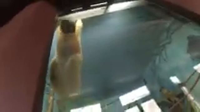 Екатеринбург глазами четверых часть 2 смотреть онлайн