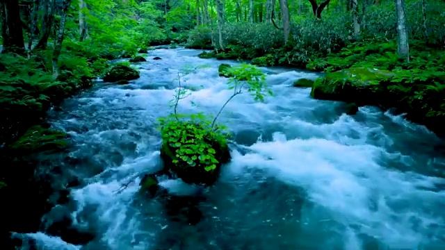 Невероятные расслабляющие звуки реки слушать онлайн снимайте стресс мгновенно смотреть онлайн