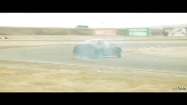 Голодный кот профессионально пародирует чей то GT R