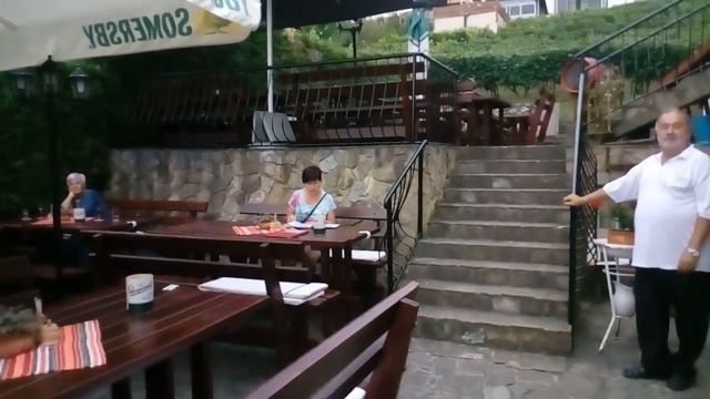 Ресторан Хоригер.Где можно вкусно покушать в  Heviz Озеро Хевиз - уникальный термальный кz