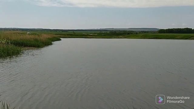 Рыбалка, Ставропольский край, Термальное озеро, ст. Суворовская, КАРПЫ "ЛБЫ" НА ПОПЛАВОК? смотреть онлайн