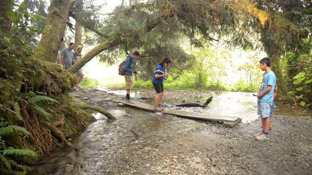 2 DAYS IN THE MAGICAL REDWOOD NATIONAL PARK смотреть онлайн