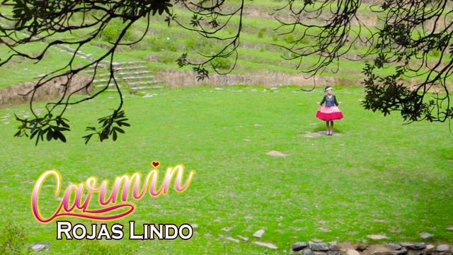 CARMÍN ROJAS LÍNDO La Compositora mas joven - Madre soltera - HUALI PRODUCCIONES 996961858 смотреть онлайн