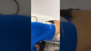 Как правильно и часто купать собаку? Купаем французского бульдога.