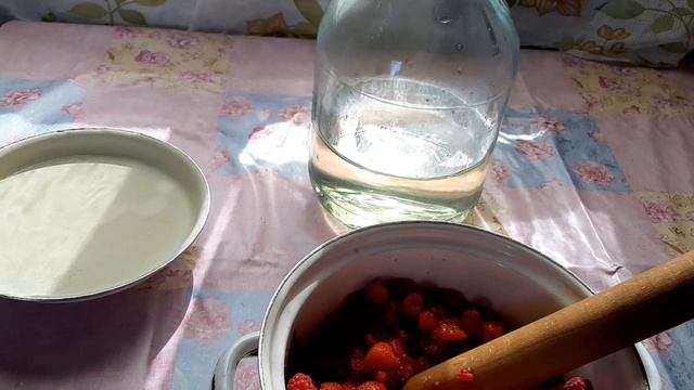 Полейте петунию после дождя Рецепт домашнего вина в трёхлитовой банке Поставили бассейн на даче смотреть онлайн