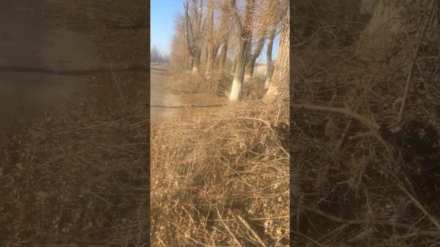 Седово умирает... смотреть онлайн