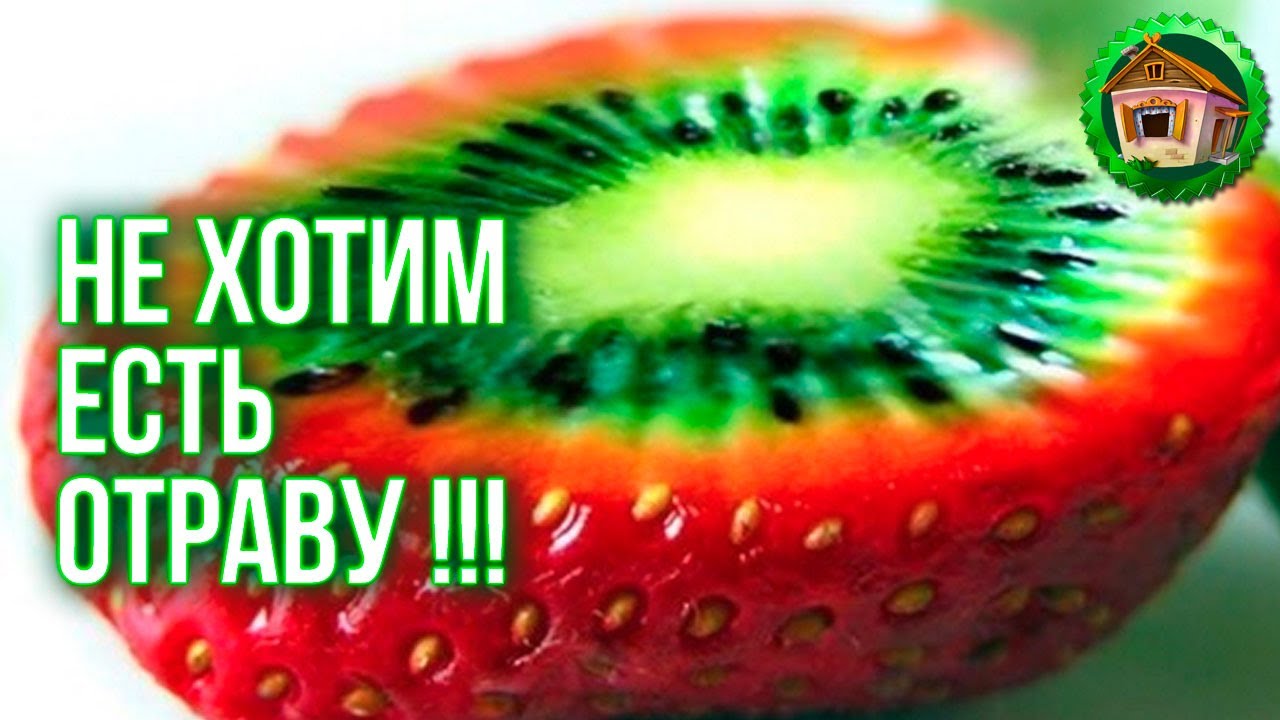 Где купить семена? Ищем живые семена. Где найти Семена НЕ F1? 59 серия смотреть онлайн