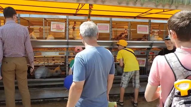 Куры на международной специализированной выставке «Белагро-2018».
