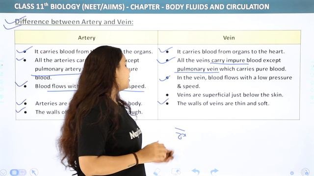 Difference Between Artery and Vein - Body Fluids and Circulation | Class 11 Biology смотреть онлайн