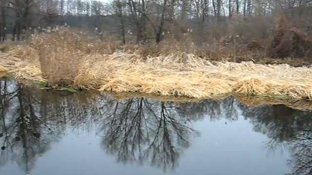 Осенний Тясмин. смотреть онлайн