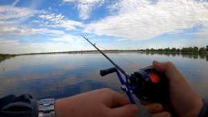 Мультипликаторная Катушка с АлиЭкспресс | Бочонок для джерков, троллинга, джига | PISCIFUN CHAOS XS