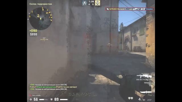 Абрикоса | TikTok смотреть онлайн