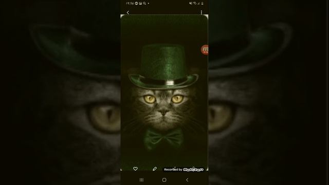 Как установить платные обои на телефон бесплатно? смотреть онлайн