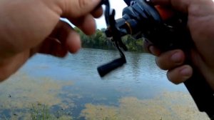 Щука клюёт на мелководье. Воблер OSP Bent Minnow 130