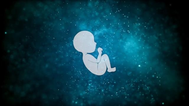 ?  In The Mother`s Belly | Bedtime Sleeping Sound For Baby | Womb Sound, Heartbeat | Ambience ASMR