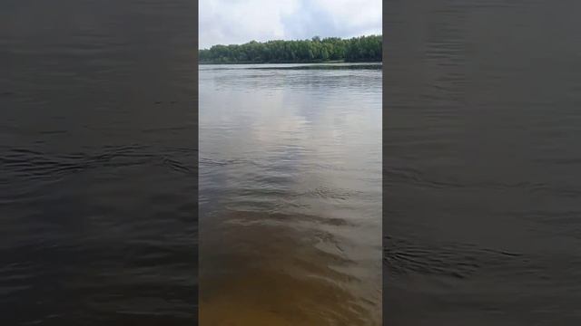 рыбалка на реке Ока смотреть онлайн