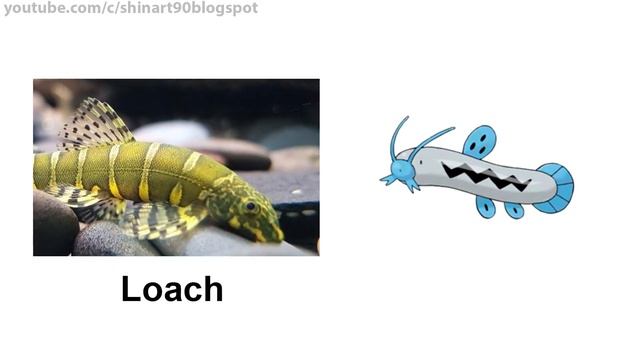 Pokémon Designed After Animals/Plants part #1 смотреть онлайн