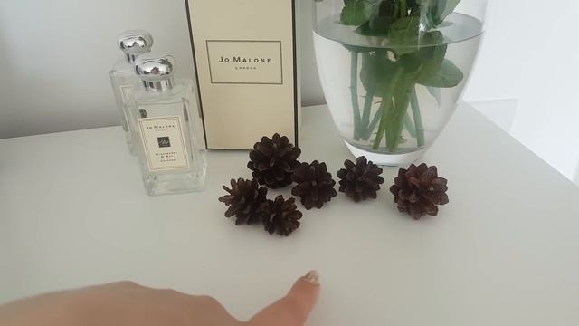 VLOG | КОШАЧЬЕ КАФЕ В ВИЛЬНЮСЕ | РУКИ ИЗ *ОПЫ | РАЗБИЛА ТЕЛЕФОН смотреть онлайн