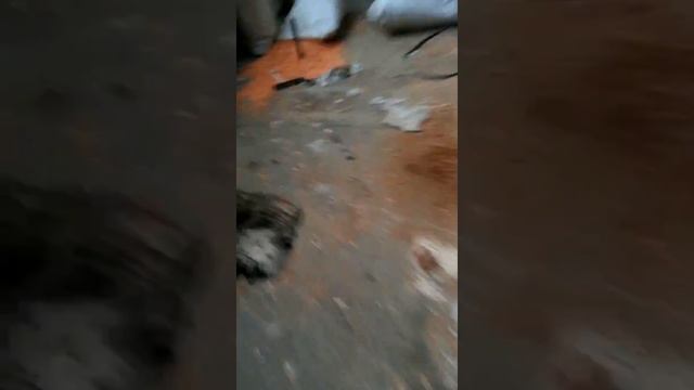 Ищем вход на крышу заброшеного цеха (4 часть) смотреть онлайн