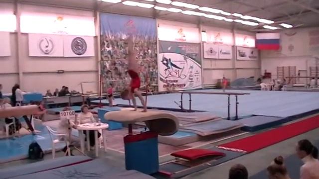 Фабрикова Варвара, спортивная гимнастика, программа 3 взрослого разряда, опорный прыжок. смотреть онлайн