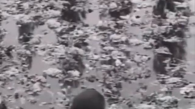 К 70 летию Сталинградской битвы смотреть онлайн