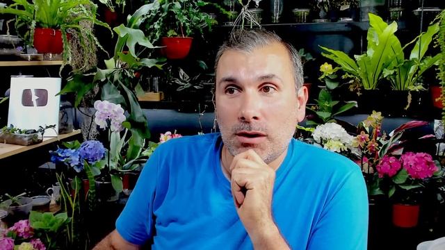 ?BIO - Enraizar Esquejes de Plantas de Uvas - Parra? смотреть онлайн