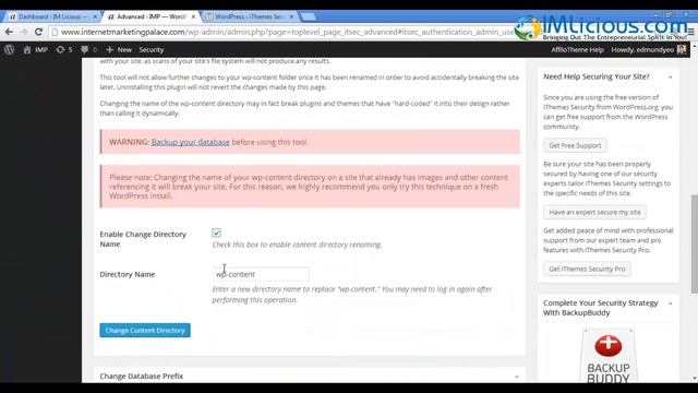 iThemes Security: Protect Your Website From Web Attacks смотреть онлайн