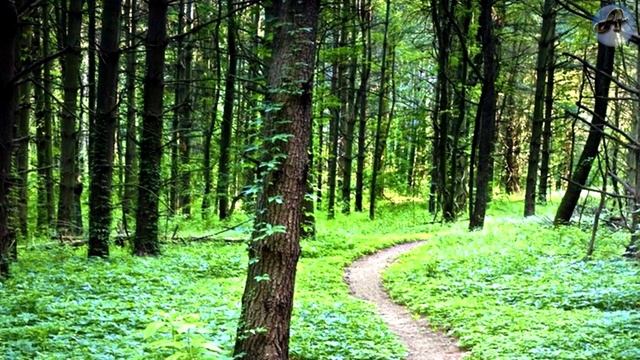 Встреча с НЕИЗВЕСТНЫМ/ Реальная ЗАГАДОЧНАЯ История / смотреть онлайн