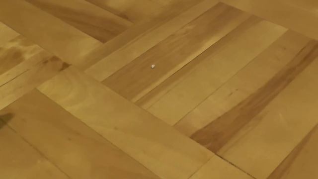 1 серия. Лошади против диких кошек.(Моё первое видео :)) смотреть онлайн
