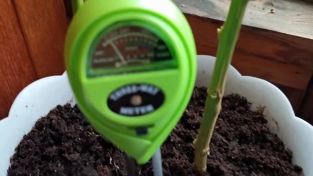 Тестер почвы Green Helper 3in1 PH-200 ( отзывы в Плеер.Ру ) смотреть онлайн