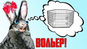 Вольерное содержание кроликов / «За» и «Против»