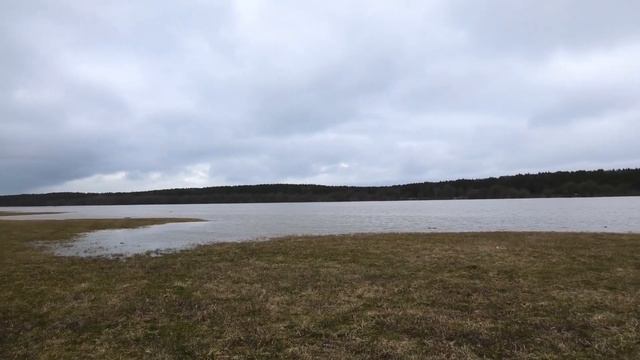 Половодье на р. Протве. 30 марта 2023 г. смотреть онлайн