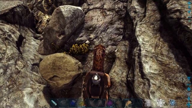 ARK РЕДКИЙ ЦВЕТОК смотреть онлайн