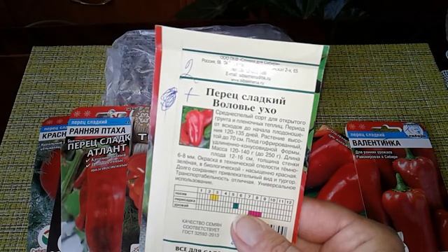 ПЕРЦЫ ДЛЯ ОТКРЫТОГО ГРУНТА! ПОДГОТОВКА ПЕРЦА К ПОСЕВУ! смотреть онлайн