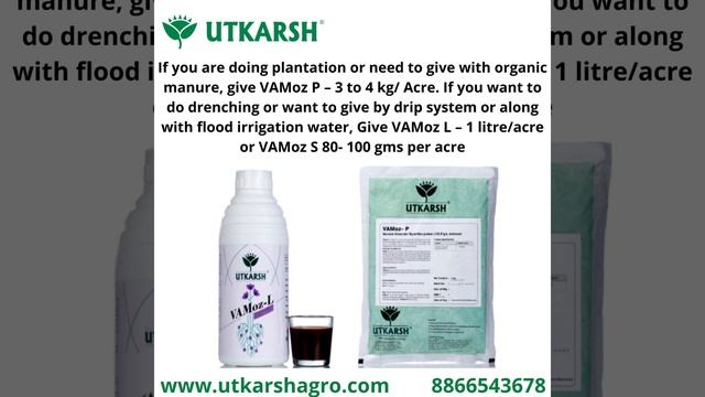 How to initiate feeding roots in plants and trees? Utkarsh Products - Vamoz L, S & P смотреть онлайн