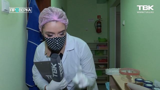 «Проверка ТВК»: частный детский сад «Розовая башня» смотреть онлайн